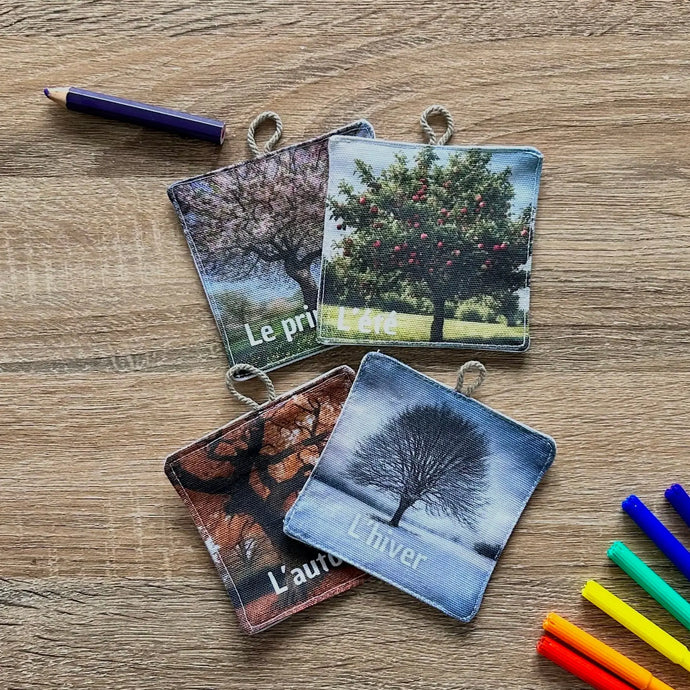 Cartes éducatives Saisons Filociel